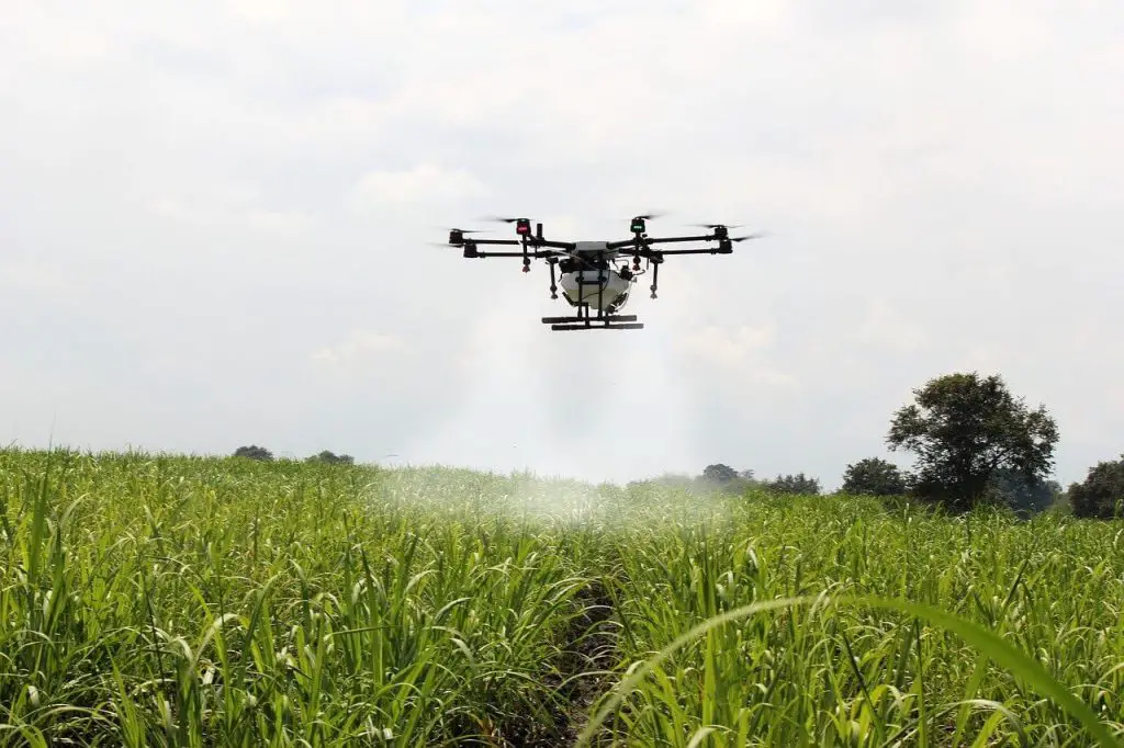 Drone spraying field
