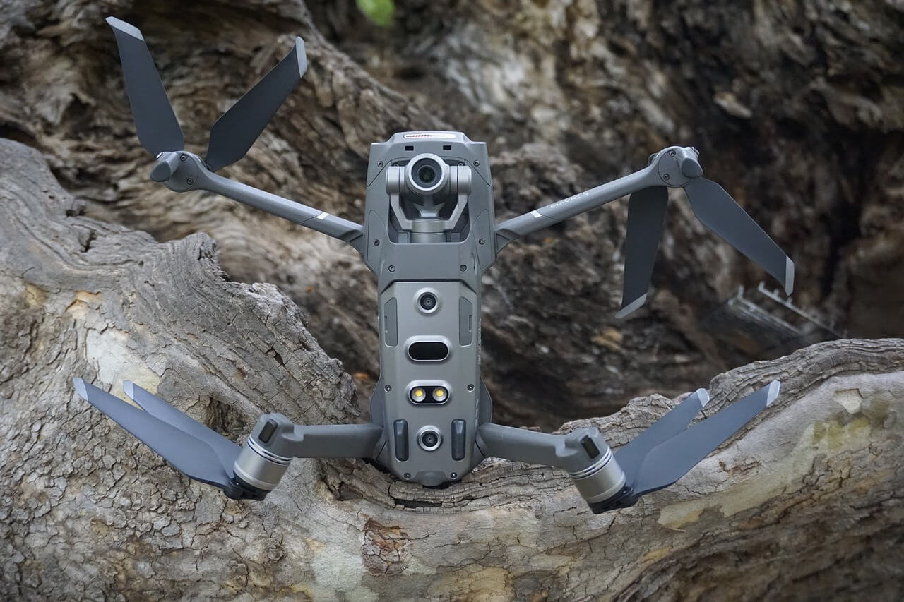 Drone Posing on a rock